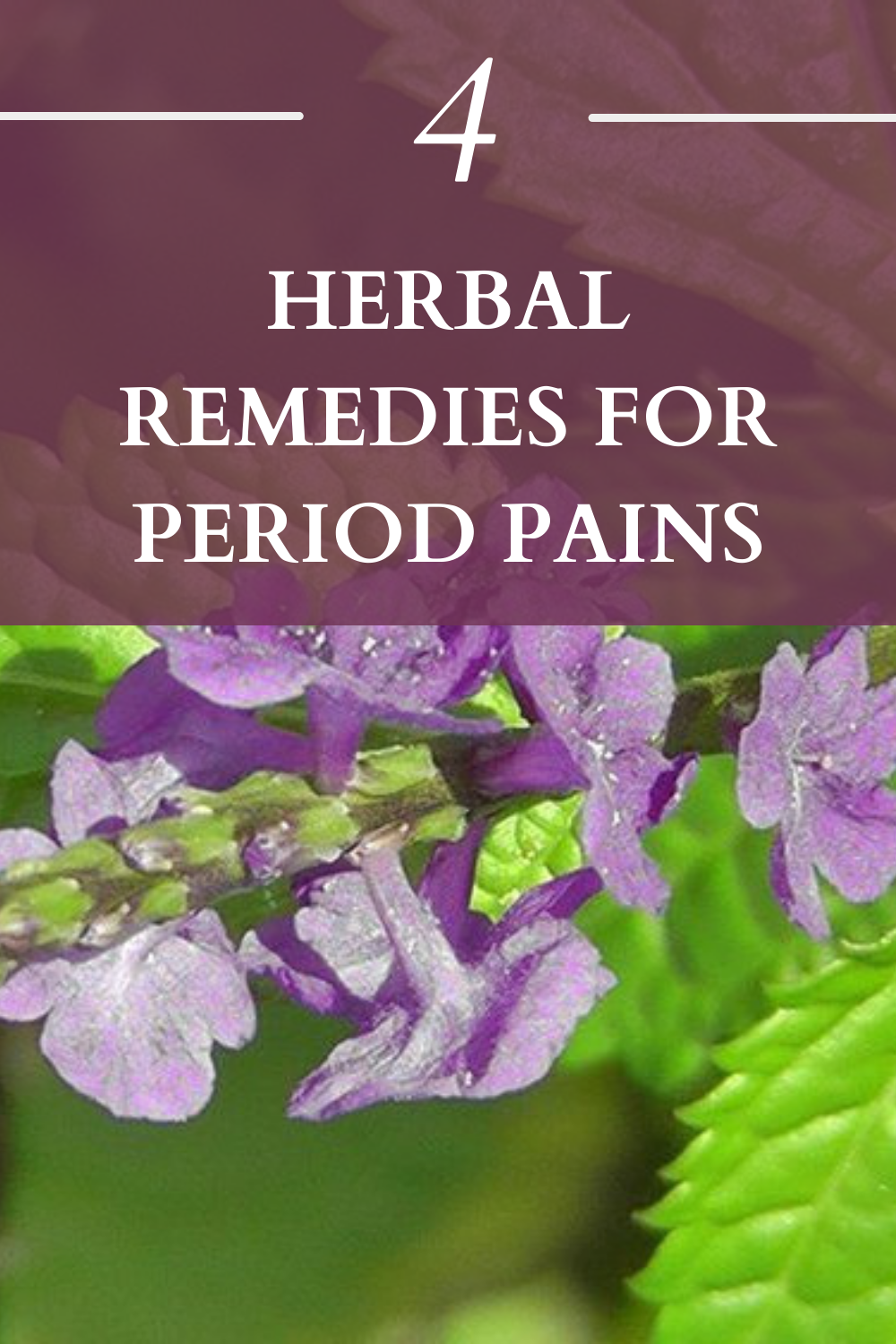 Menorrhagia: What is it, and how to treat it holistically. - Lady of the  Herbs