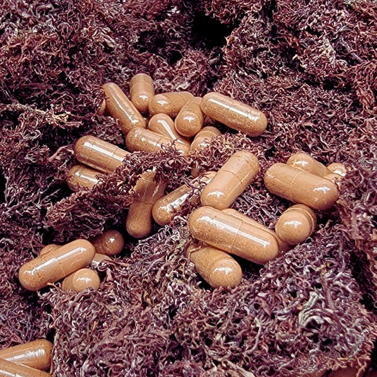 Jamaican Purple Sea Moss Capsules | 60 Vegan Capsules