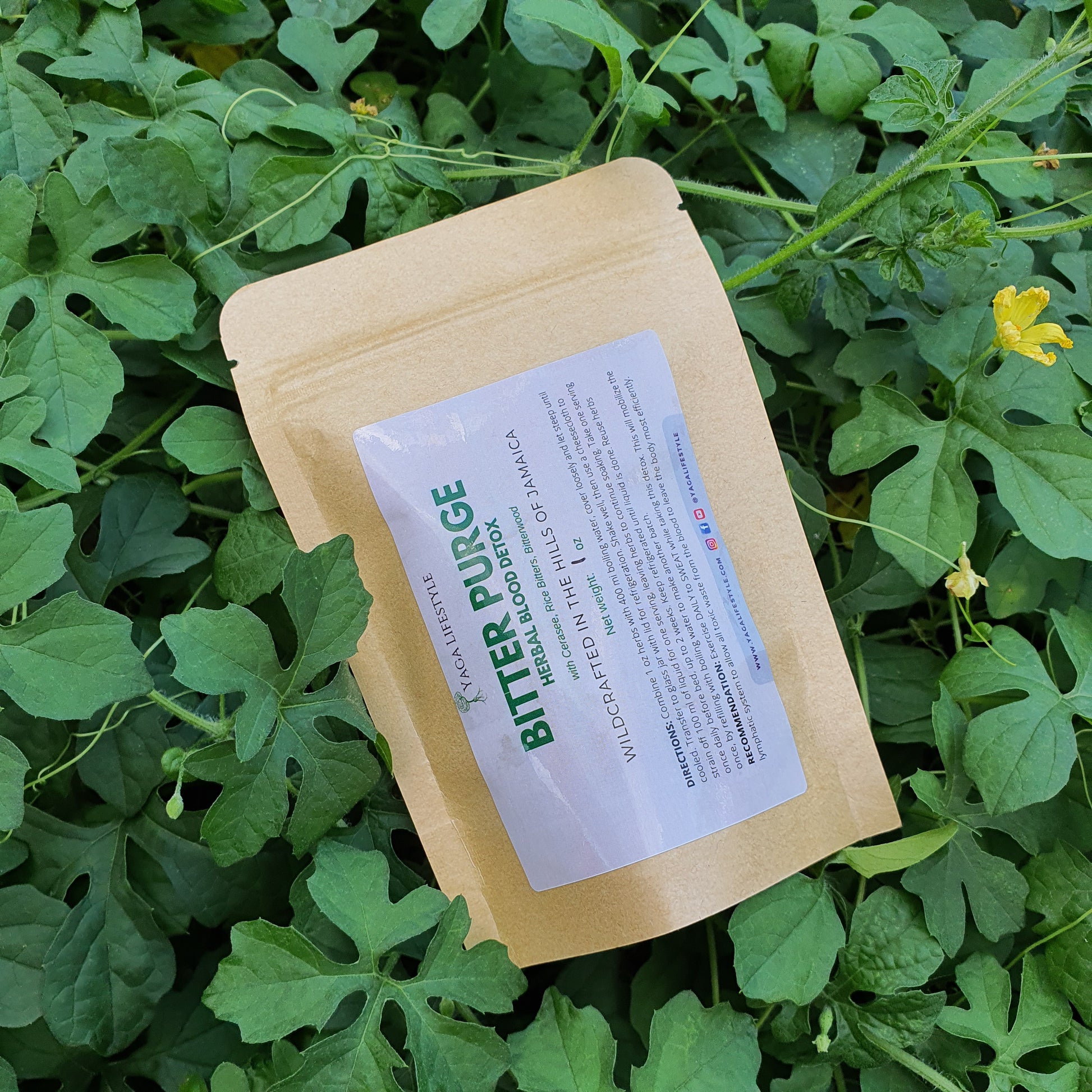 Bitter Purge Blood Detox Herbs