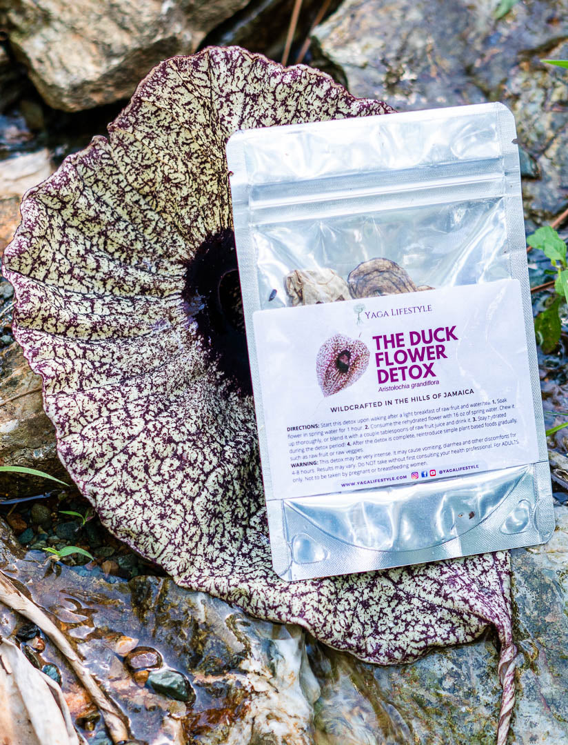 Wild Crafted Duck Flower – The Detox Club