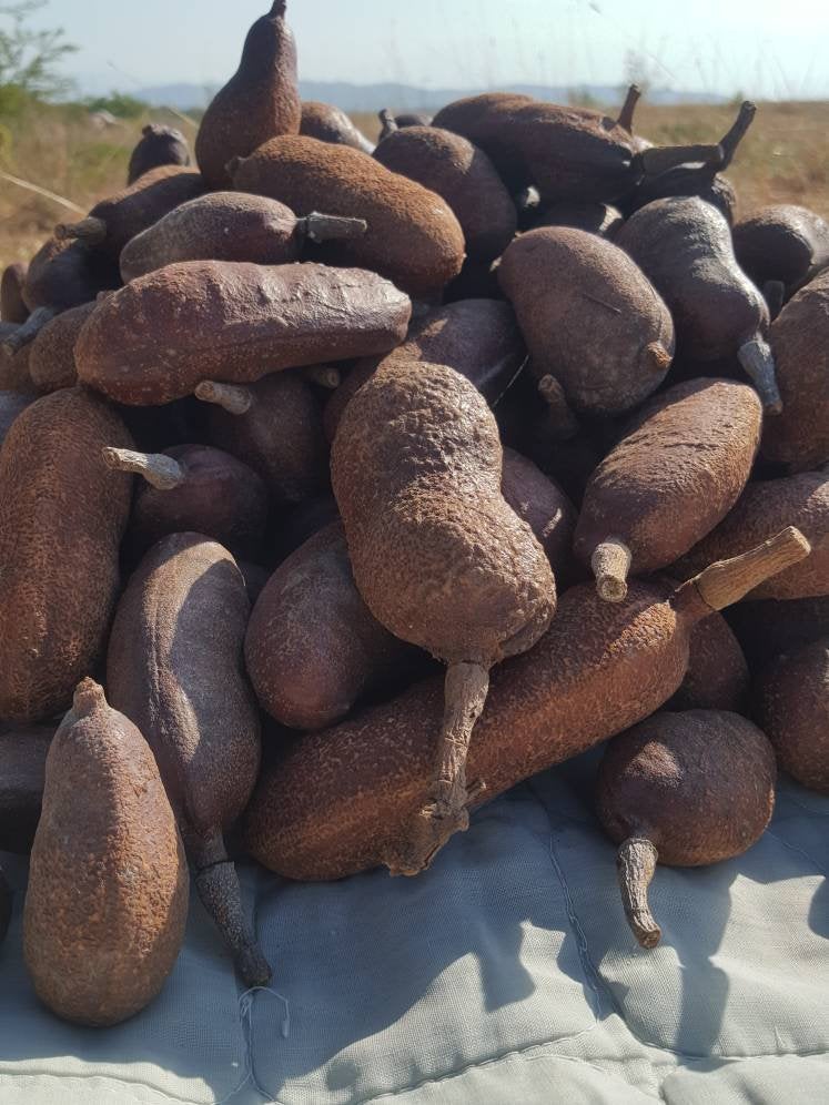 Stinking Toe Superfruit Powder (Hymenaea courbaril) - Yaga Lifestyle