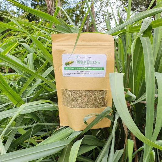 Jamaican Fever Grass (Lemon Grass)