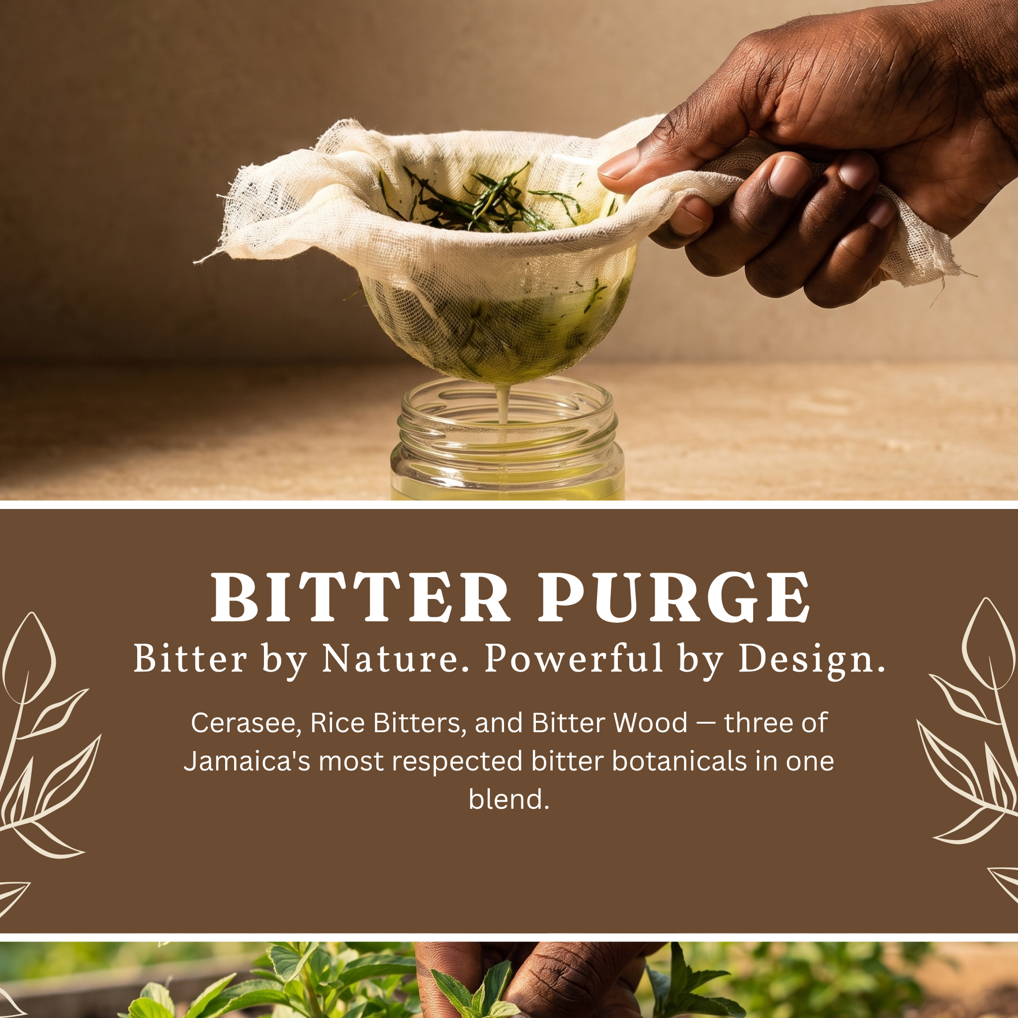 Bitter Purge Herbal Detox - Alkaline Blood Cleansing Herbs