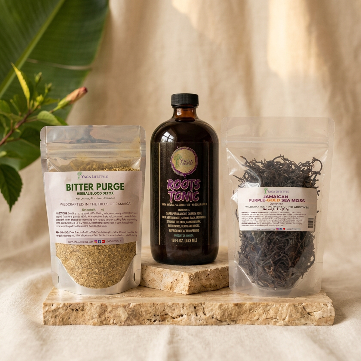 Detox & Rebuild Bundle