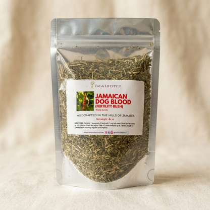 Jamaican Dog Blood Bush | Fertility Herb | Rivinia Humilis