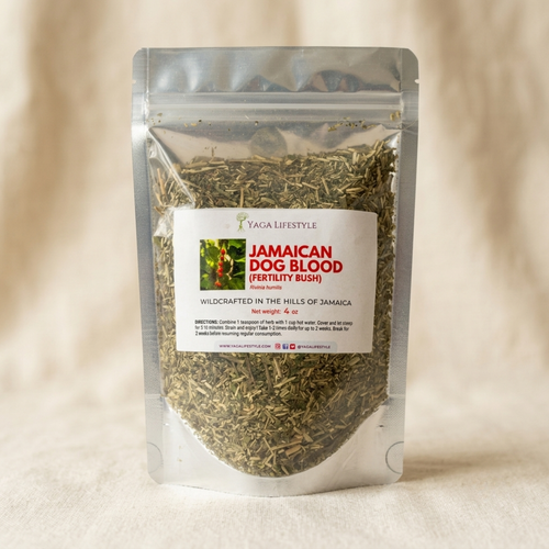 Jamaican Dog Blood Bush | Fertility Herb | Rivinia Humilis