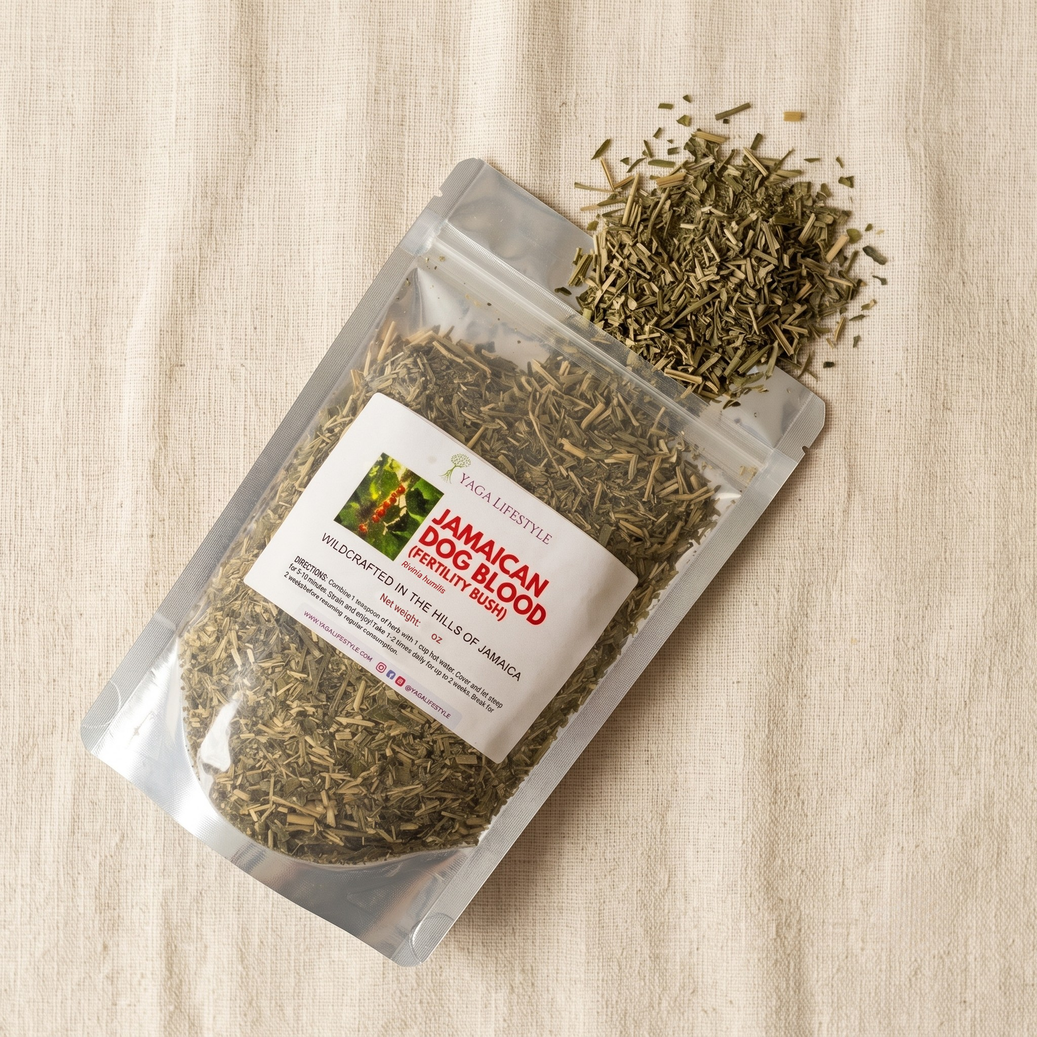 Jamaican Dog Blood Bush | Fertility Herb | Rivinia Humilis