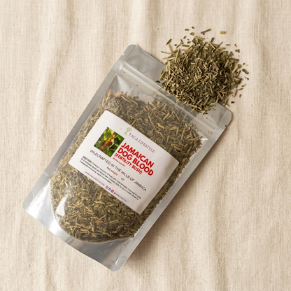 Jamaican Dog Blood Bush | Fertility Herb | Rivinia Humilis