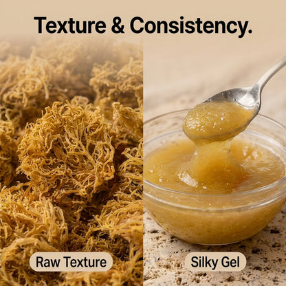 Jamaican Gold Irish Sea Moss