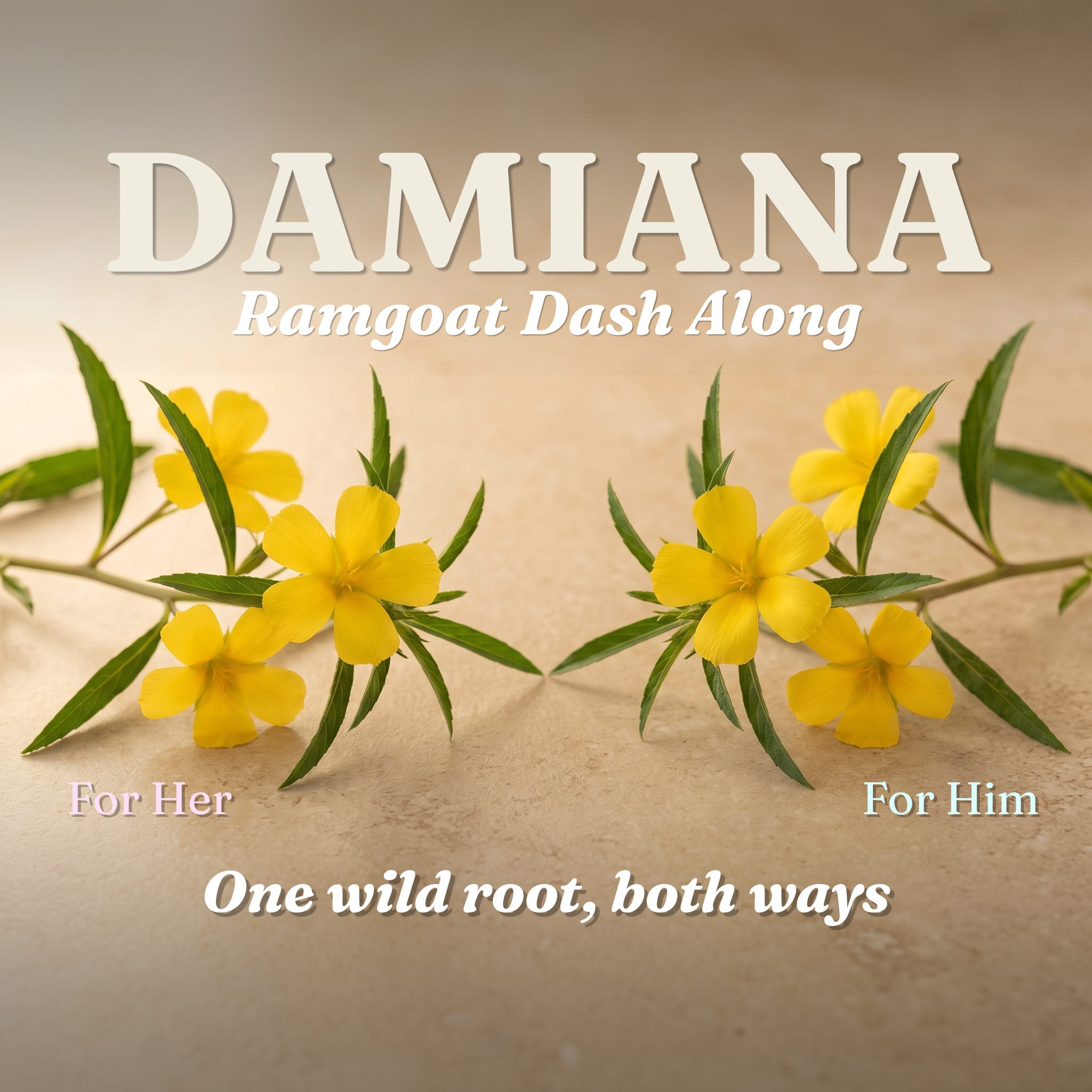 Jamaican Damiana | Ram Goat Dash Along