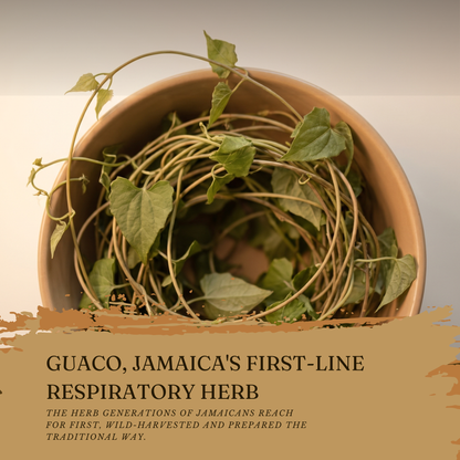 Jamaican Guaco Mikania (Wildcrafted, Air-Dried, Dr Sebi Approved Alkaline Herb)
