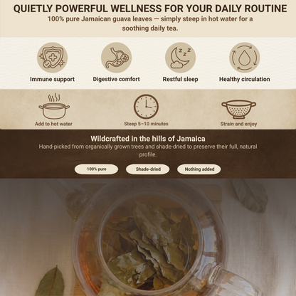 Jamaican Guava Leaf Tea | Organic