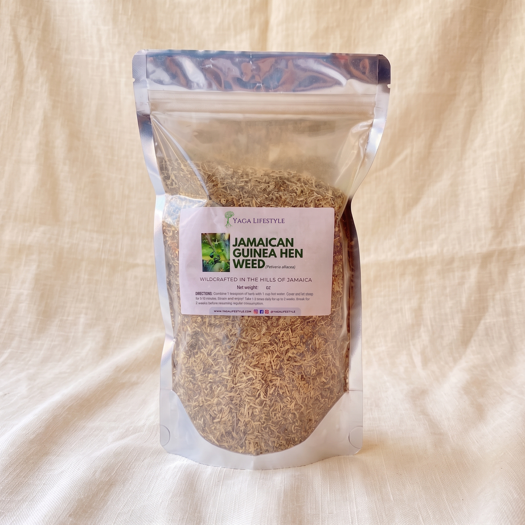 Jamaican Guinea Hen Weed (Anamu)