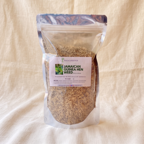 Jamaican Guinea Hen Weed (Anamu)