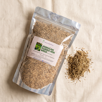 Jamaican Guinea Hen Weed (Anamu)