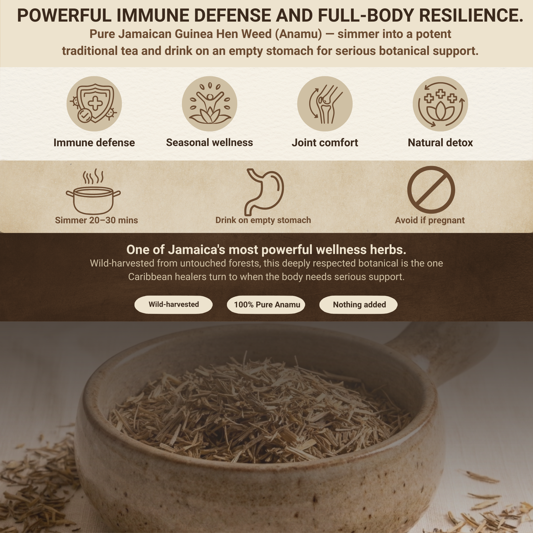 Jamaican Guinea Hen Weed (Anamu)
