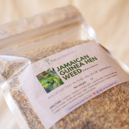 Jamaican Guinea Hen Weed (Anamu)