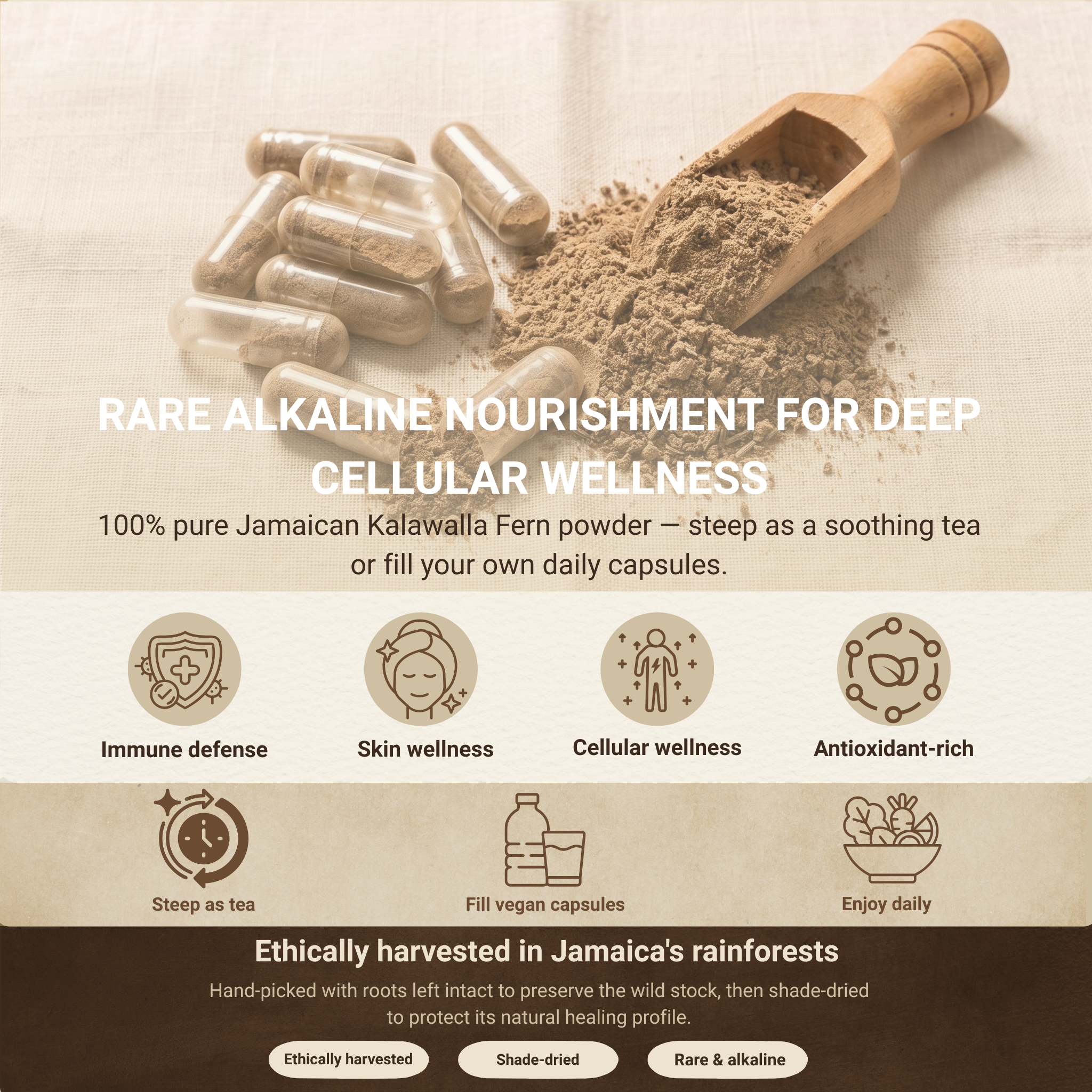 Jamaican Kalawalla Herb | Calaguala | Polypodium Sp. | 2 oz coarse powder