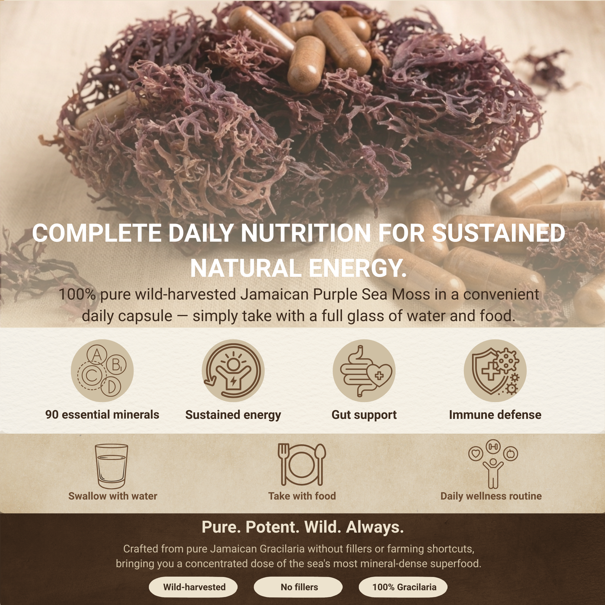 Jamaican Purple Sea Moss Capsules | 60 Vegan Capsules