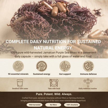Jamaican Purple Sea Moss Capsules | 60 Vegan Capsules