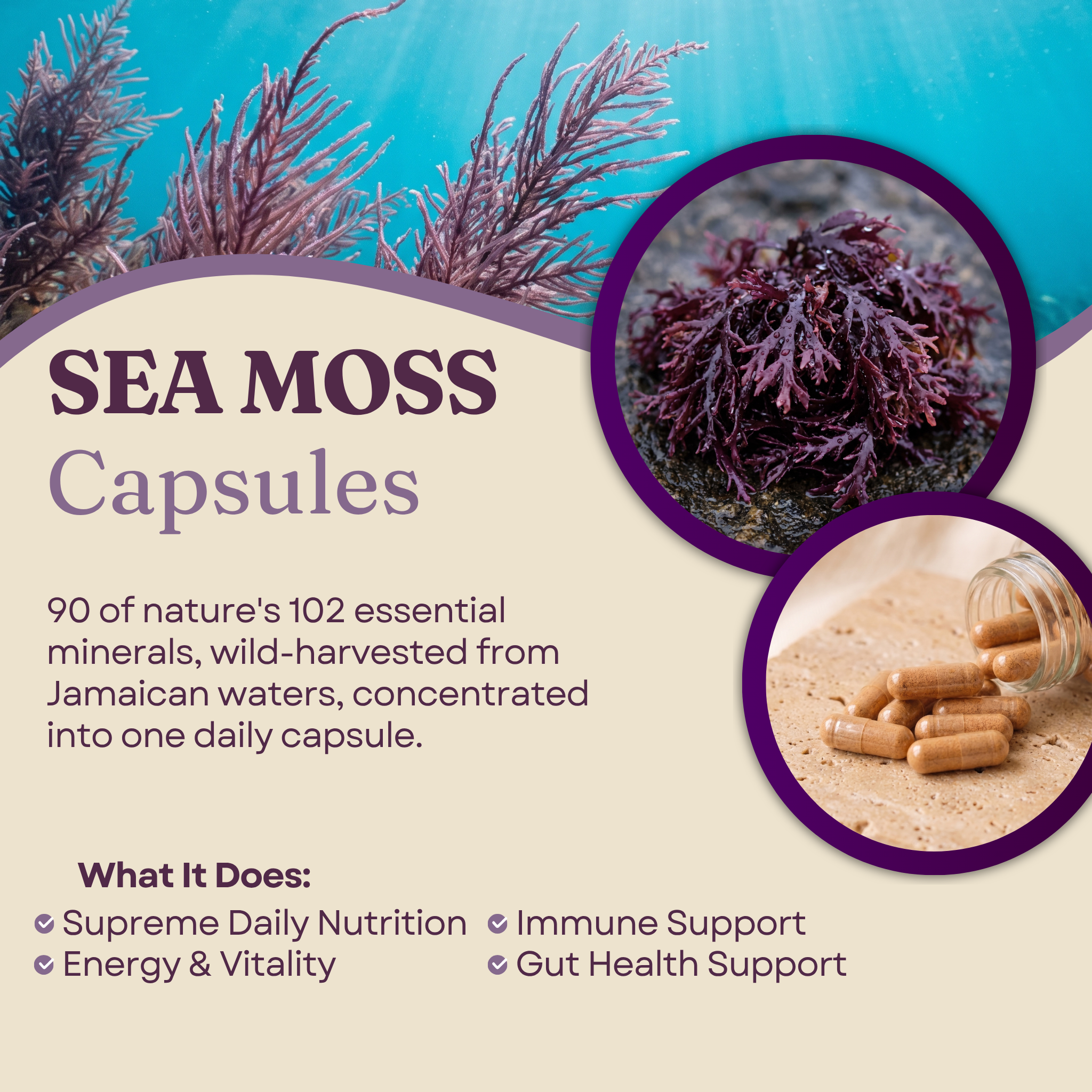 Jamaican Purple Sea Moss Capsules | 60 Vegan Capsules