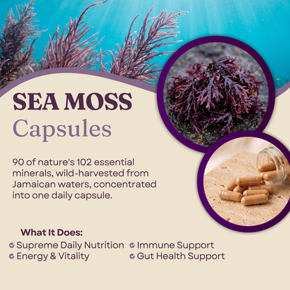 Jamaican Purple Sea Moss Capsules | 60 Vegan Capsules