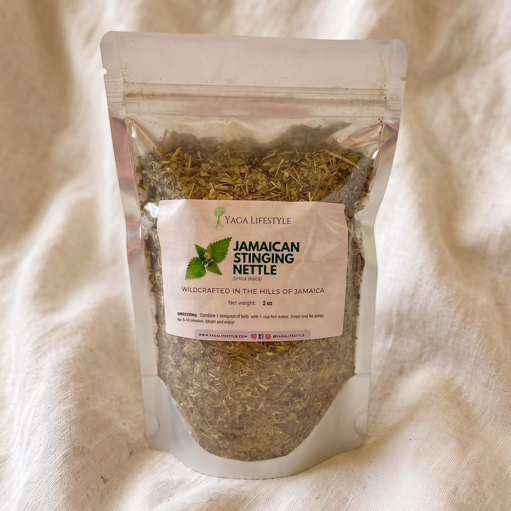 Jamaican Stinging Nettle