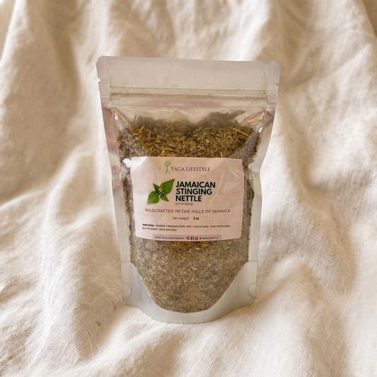 Jamaican Stinging Nettle