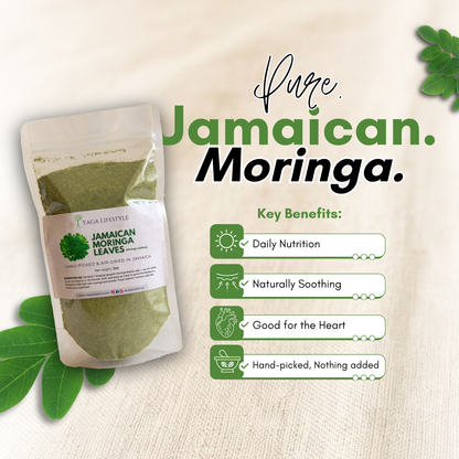 Jamaican Moringa Oleifera Leaf Powder