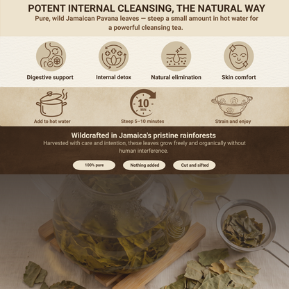 Pavana Leaves | Croton Tiglium | Dr Sebi Approved Alkaline Herb