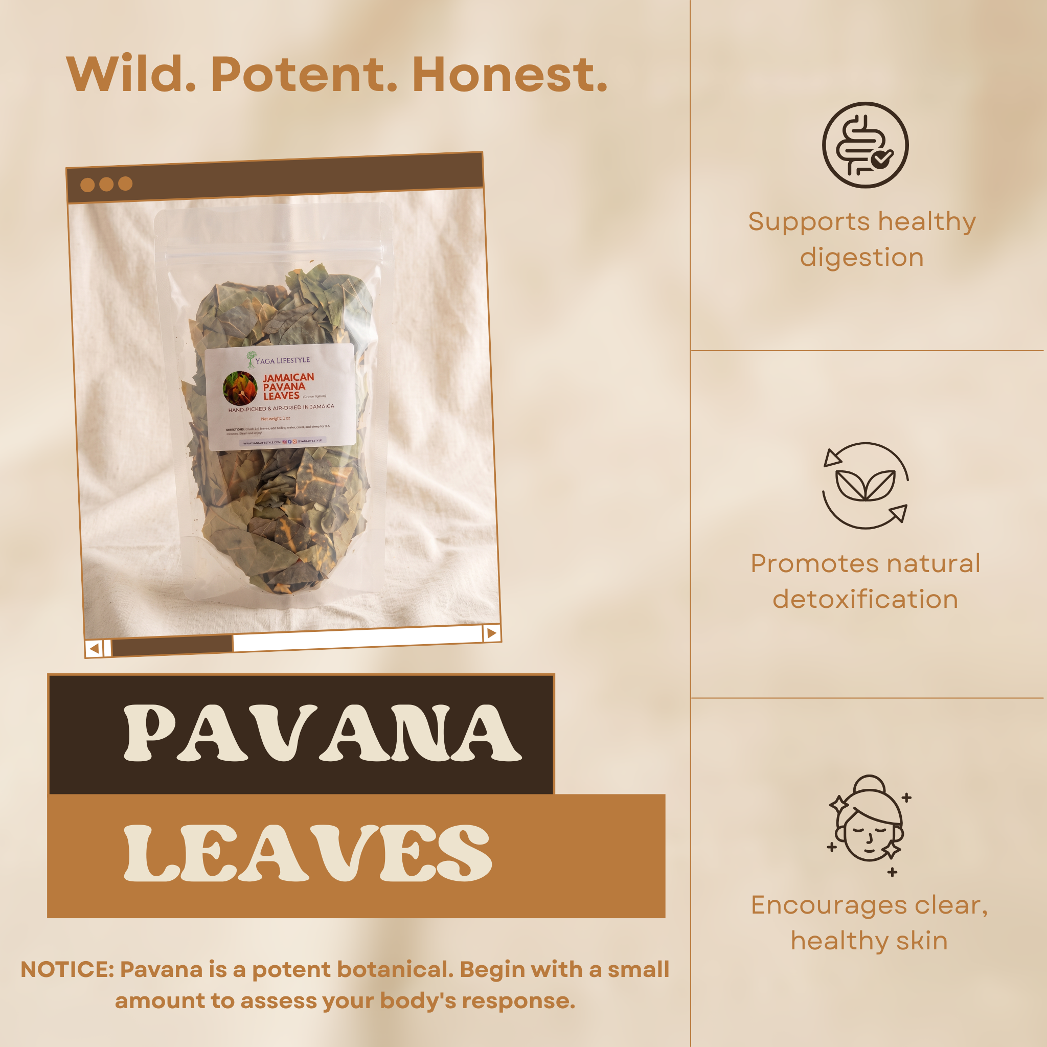 Pavana Leaves | Croton Tiglium | Dr Sebi Approved Alkaline Herb