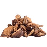 Chaney Root