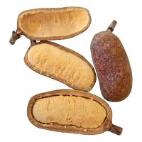 Stinking Toe Bark