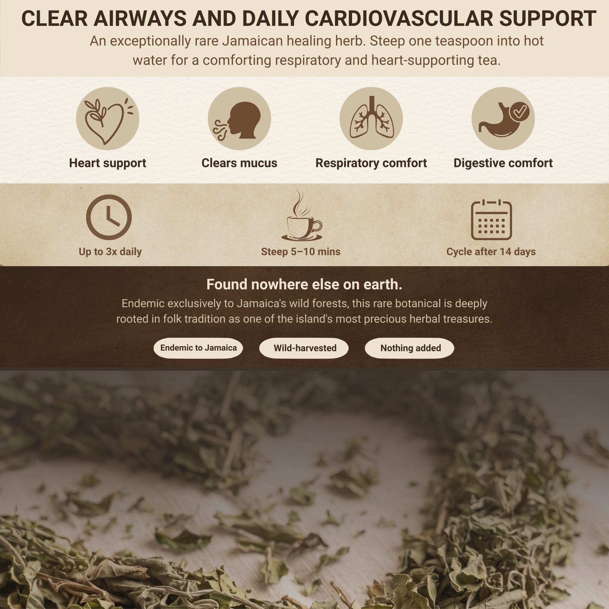 Jamaican Search Me Heart (Heart Bush) 1 oz