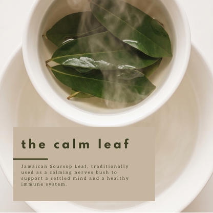 Jamaican Soursop Leaves (Hand-picked, Air-dried whole leaves)
