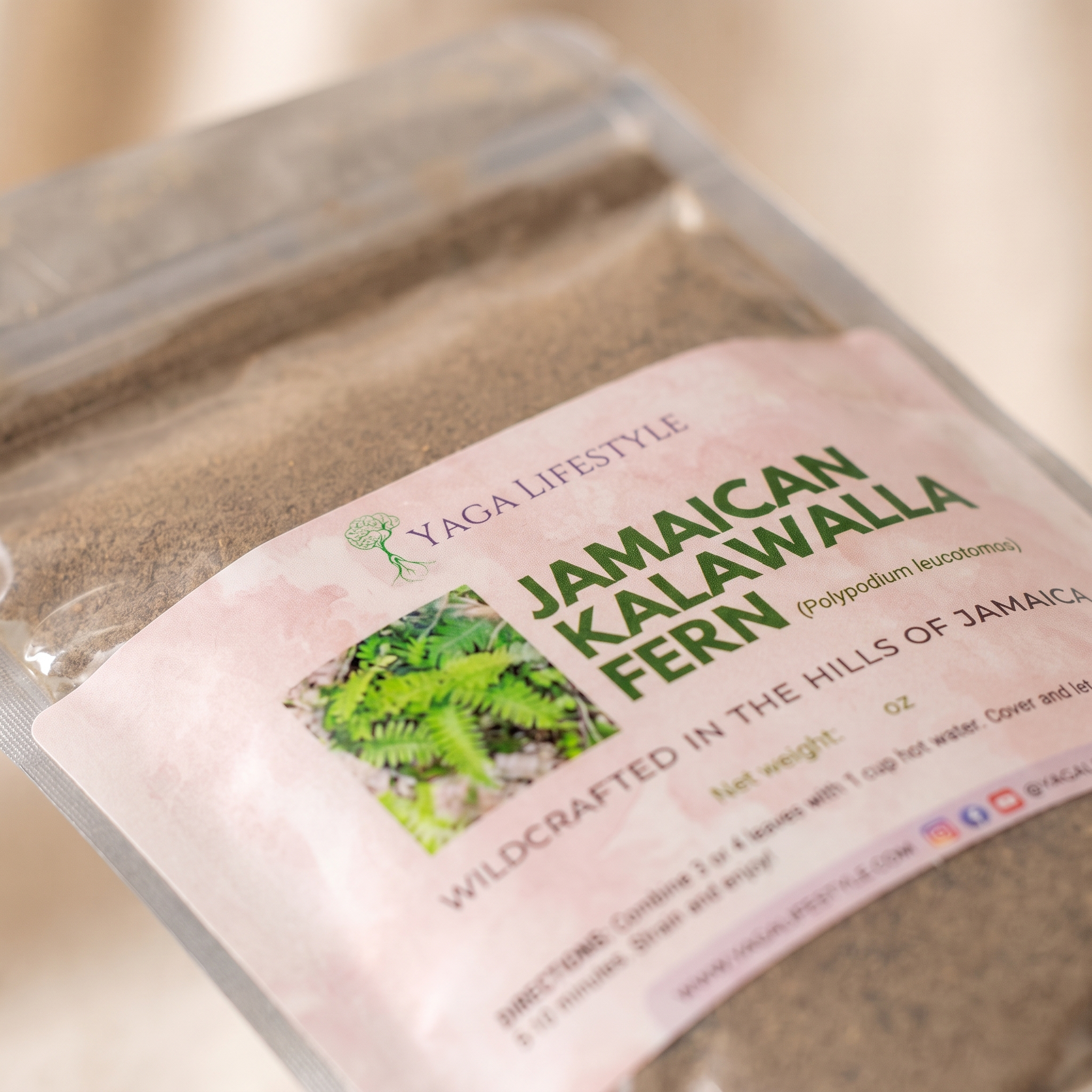 Jamaican Kalawalla Herb | Calaguala | Polypodium Sp. | 2 oz coarse powder