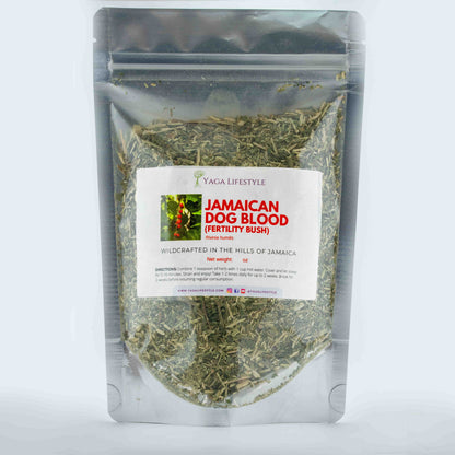 Jamaican Dog Blood Bush | Fertility Herb | Rivinia Humilis