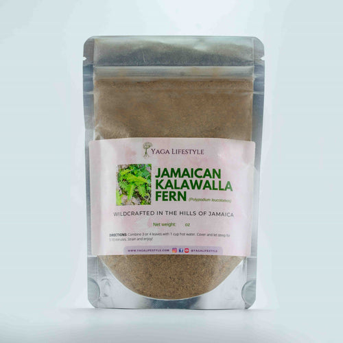 Jamaican Kalawalla Herb | Calaguala | Polypodium Sp. | 2 oz coarse powder