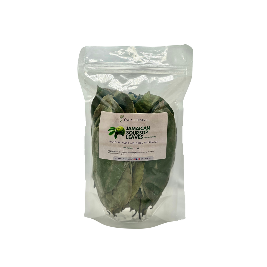 Jamaican Soursop Leaves (Hand-picked, Air-dried whole leaves)