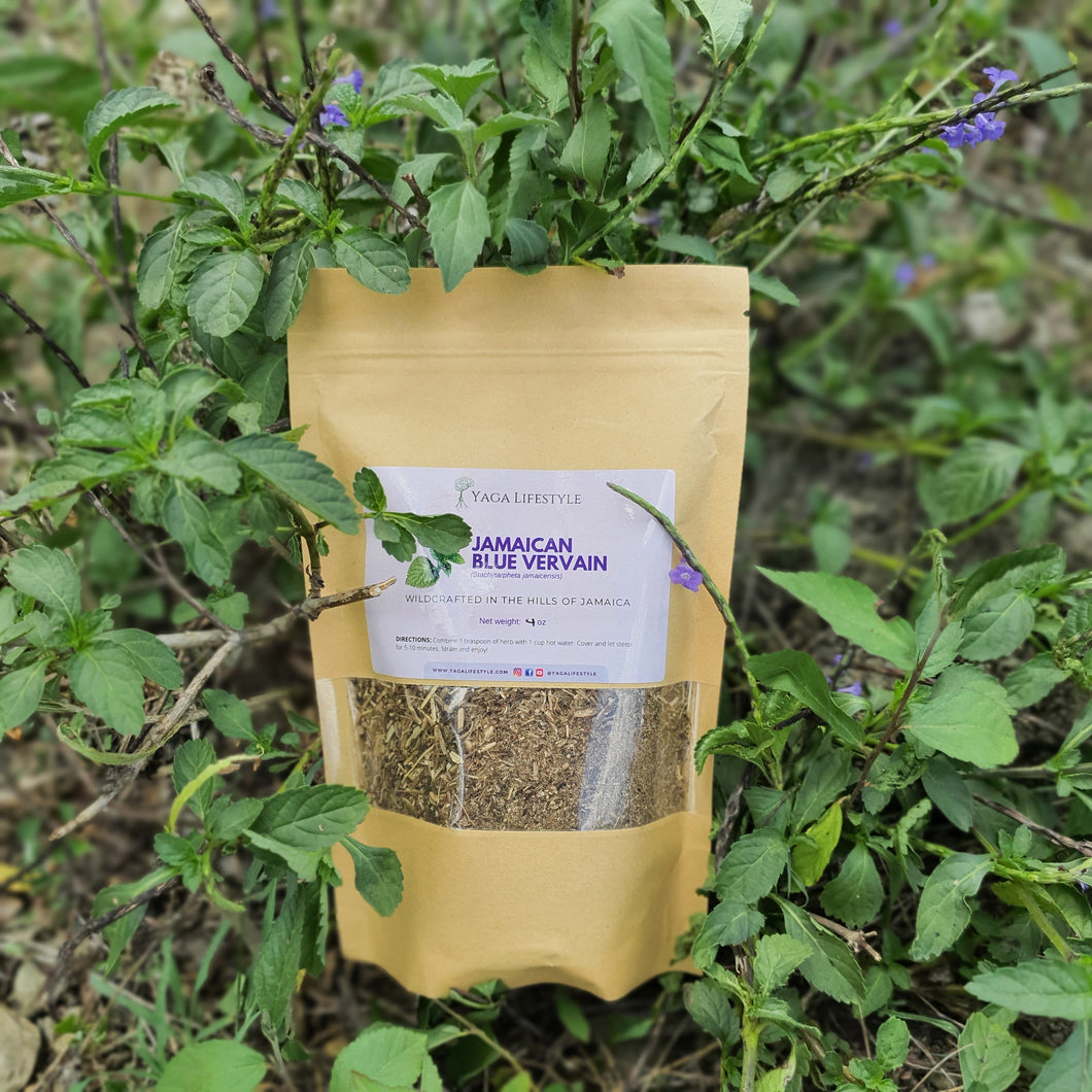 Jamaican Blue Vervain (Wildcrafted)