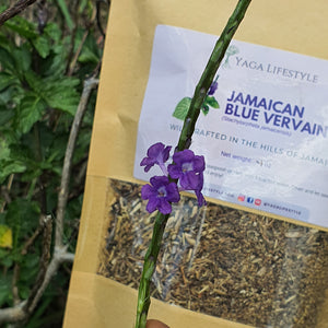 Jamaican Blue Vervain (Wildcrafted)