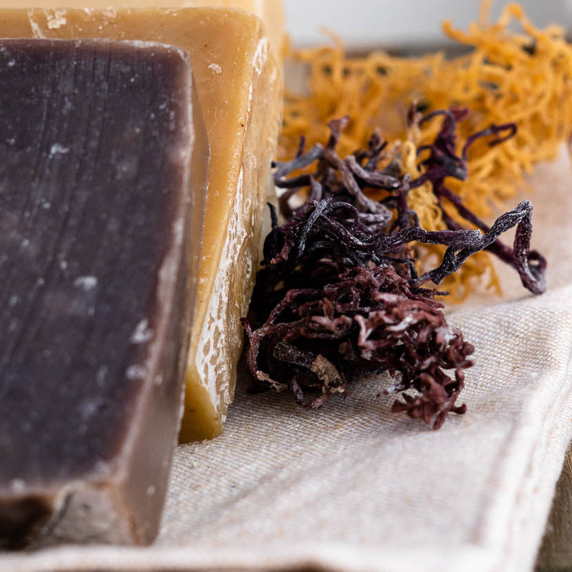 Purple Sea Moss Soap (Handmade, Vegan) With Wildcrafted Jamaican Purple Sea Moss