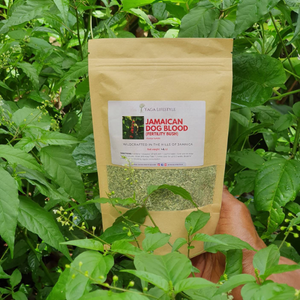 Jamaican Dog Blood Bush | Fertility Herb | Rivinia Humilis