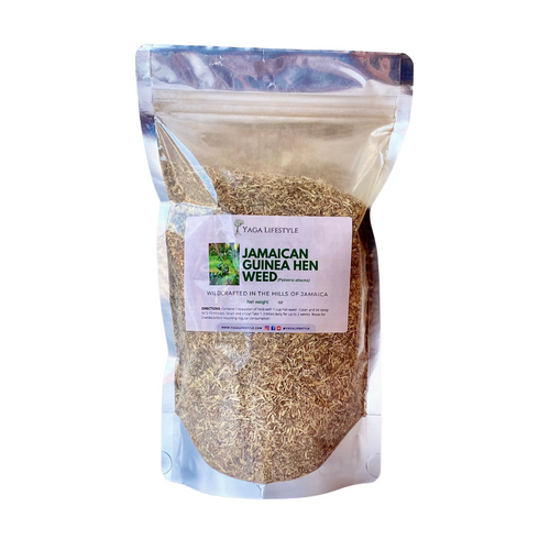 Jamaican Guinea Hen Weed (Anamu)