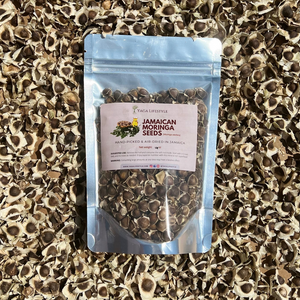 Jamaican Moringa Oleifera Seeds (Raw, Organic)