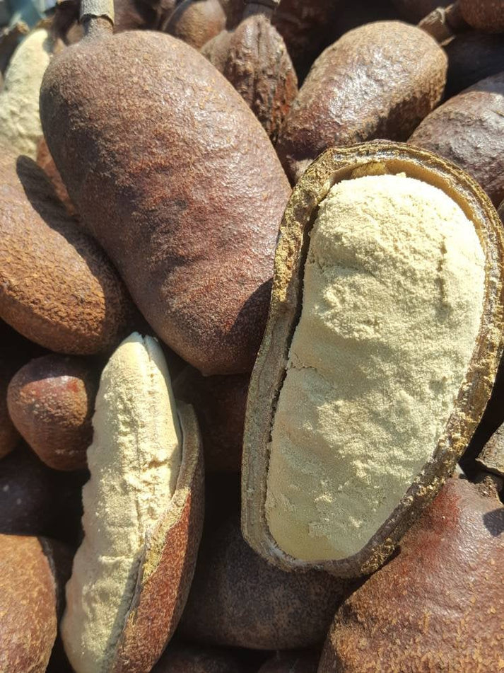 Stinking Toe Fruit Powder | Stinky Toe | Hymenaea courbaril