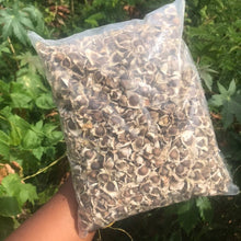 Jamaican Moringa Oleifera Seeds (Raw, Organic) - Yaga Lifestyle