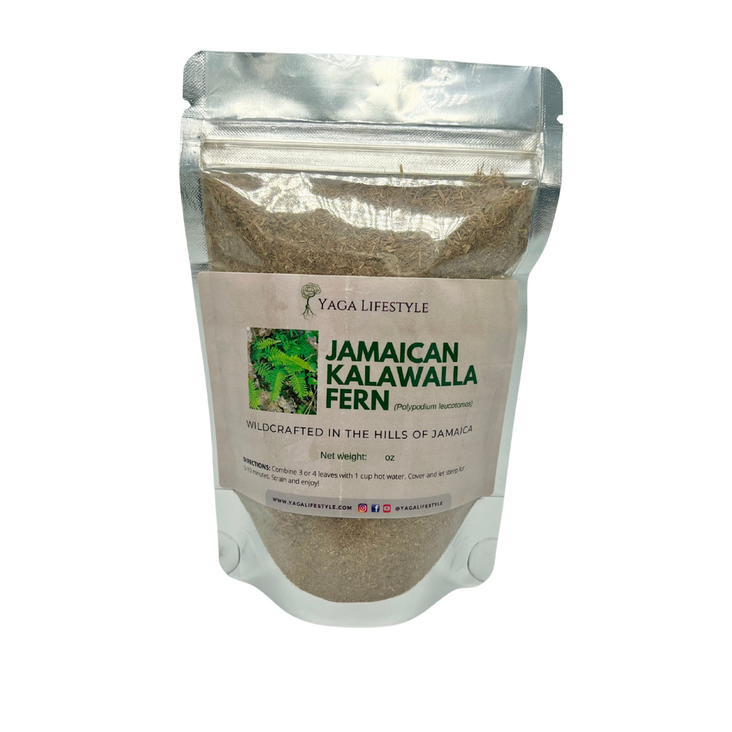 Jamaican Kalawalla Herb | Calaguala | Polypodium Sp. | 2 oz coarse powder