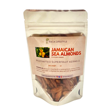 Jamaican Tropical Sea Almond Nut (Raw, Wildcrafted, Superfood Kernel)